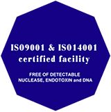 iso 20130531092433h6Pm