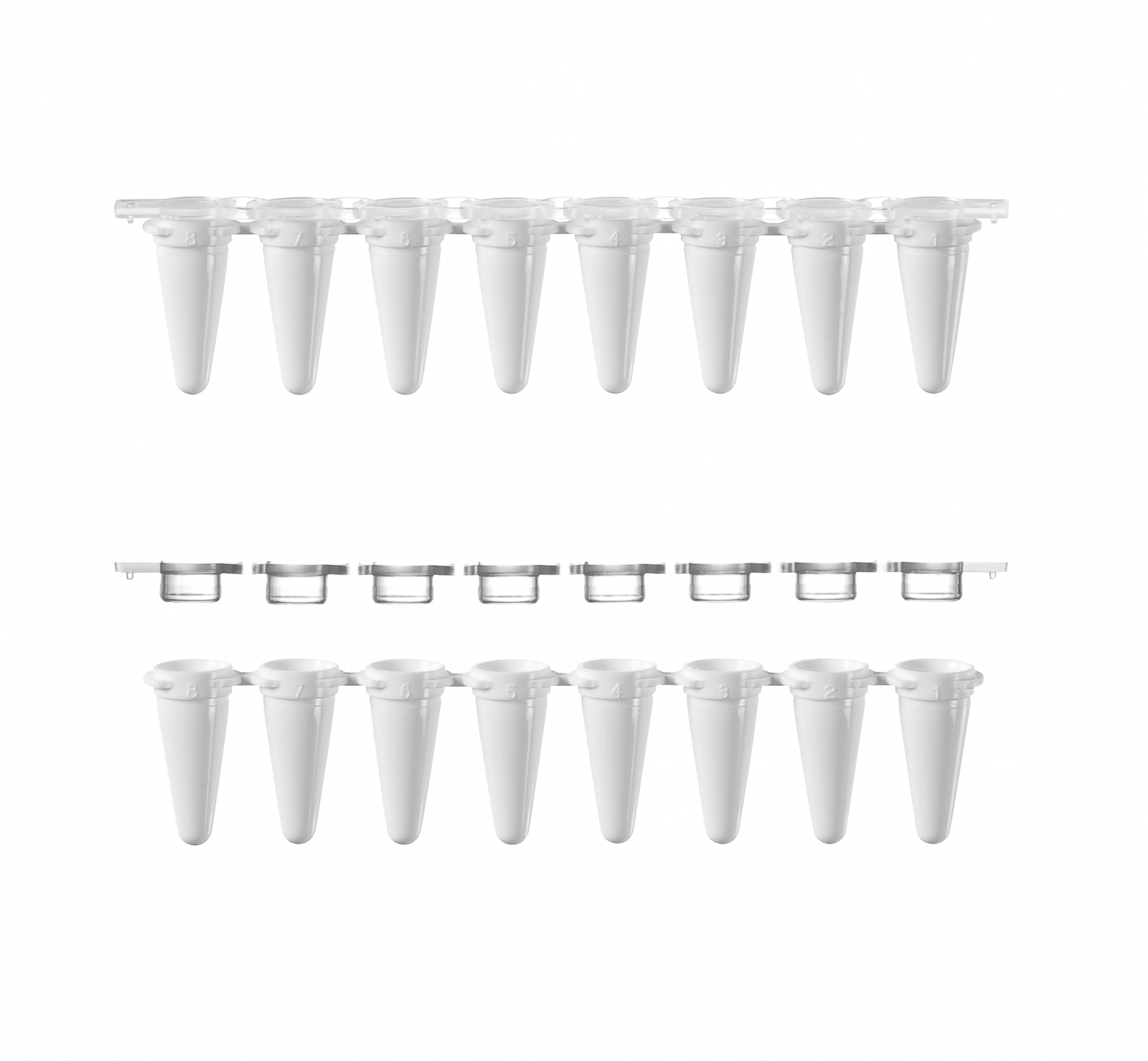 20251222155213V3wx 20251222155213V3wx